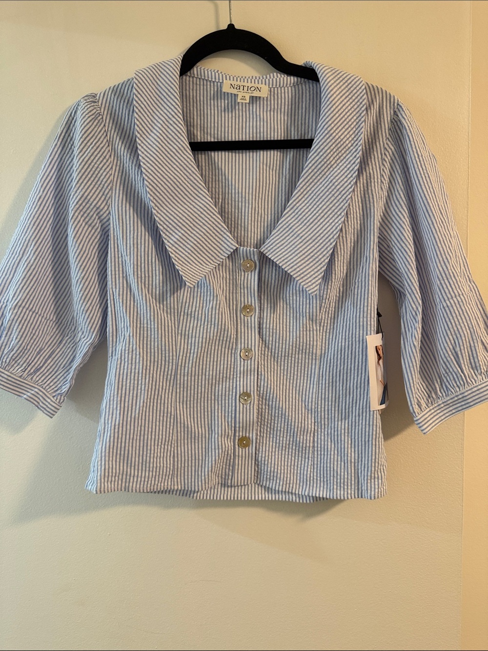 Nation LTD Light Blue and White Striped Button-Front Blouse